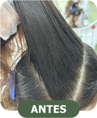 Piolho control funciona?