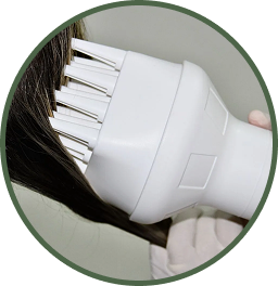 Desidratação de lêndeas